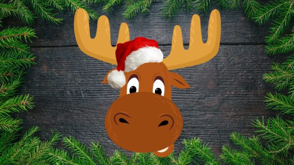 An image of a moose wearing a Christmas hat.