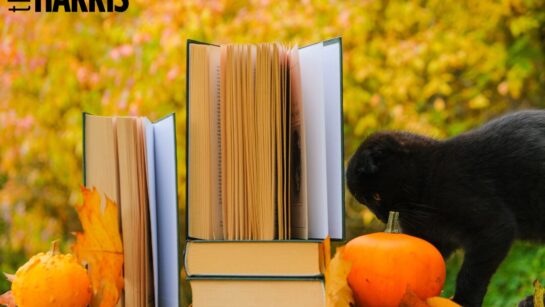 Image with books and a black cat