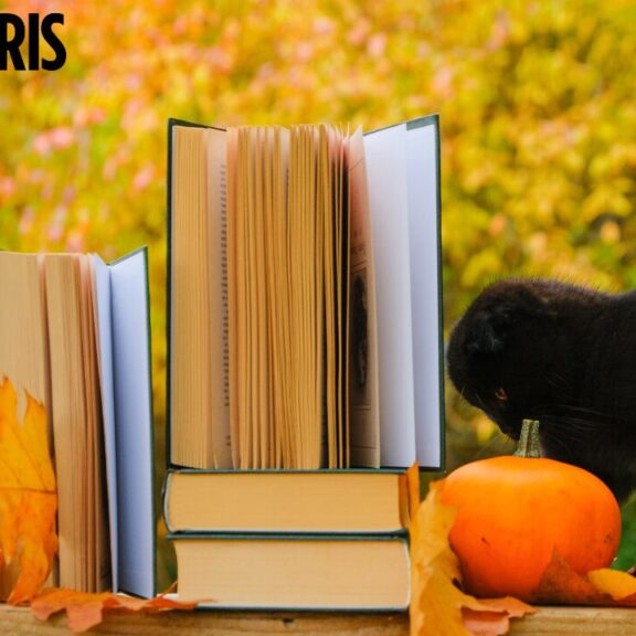 Image with books and a black cat