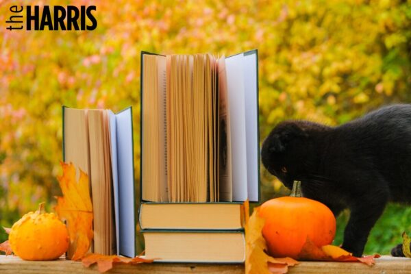 Image with books and a black cat