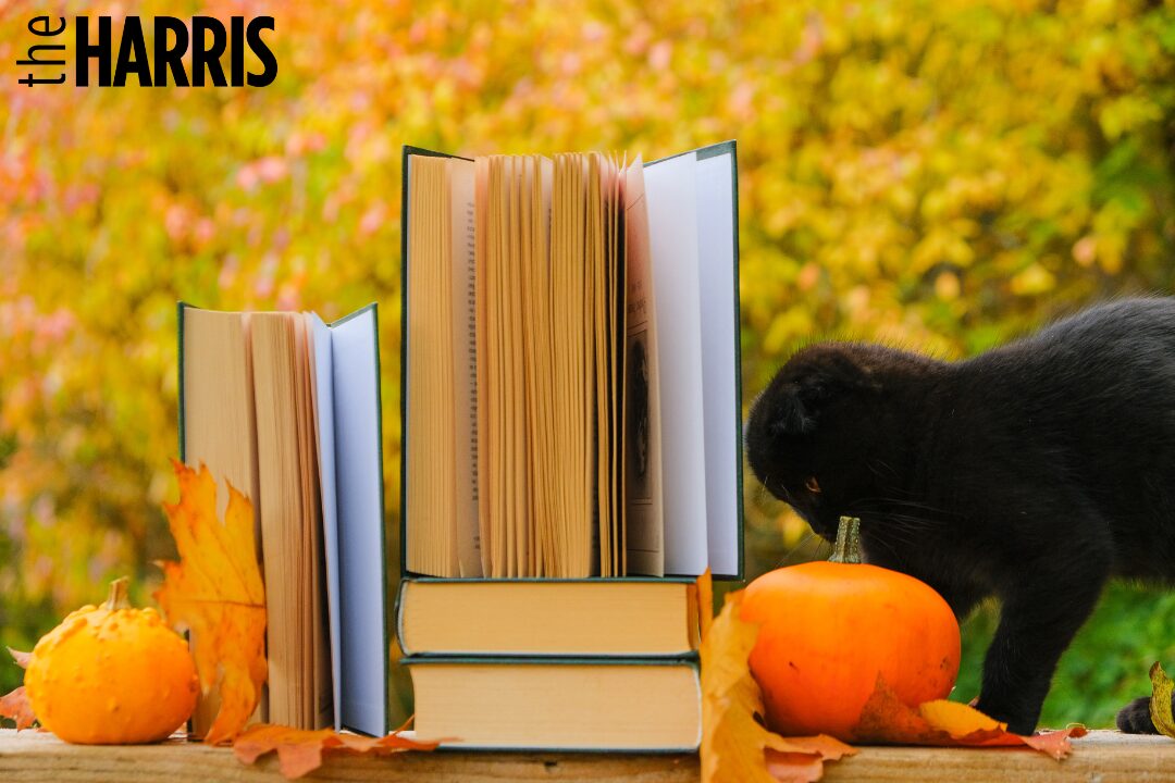 Image with books and a black cat