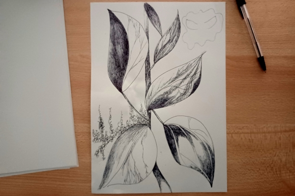 Image of pencil drawing of leaves on a wooden table with a pen in the background