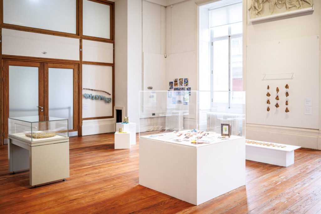 Image of a Gallery space with artworks in glass display cases.