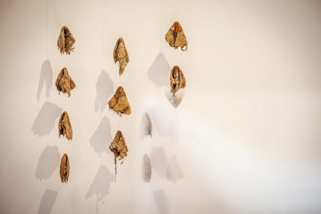 Image of artworks in tissue shapes.