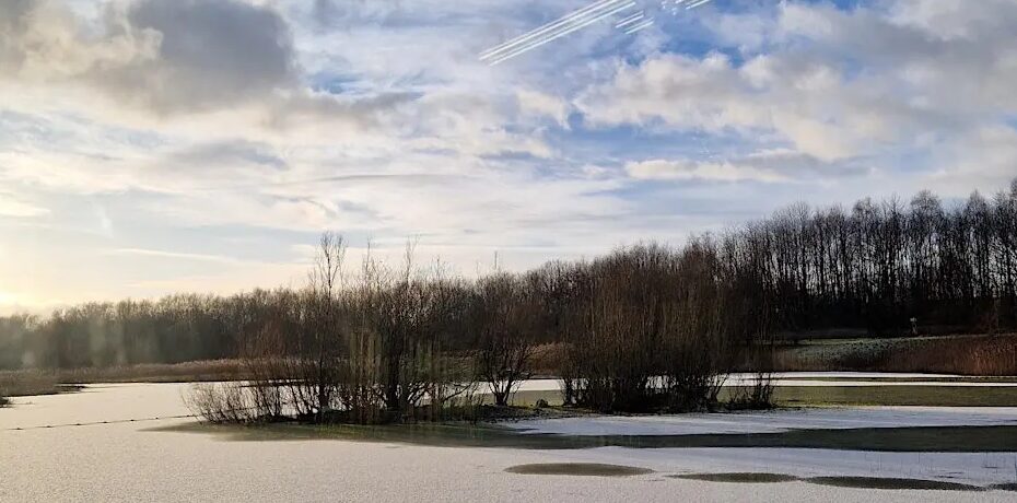 Calm winter landscape with partially frozen lake reflecting a cloudy blue sky. Bare trees cluster on the shore, creating a serene, tranquil scene.