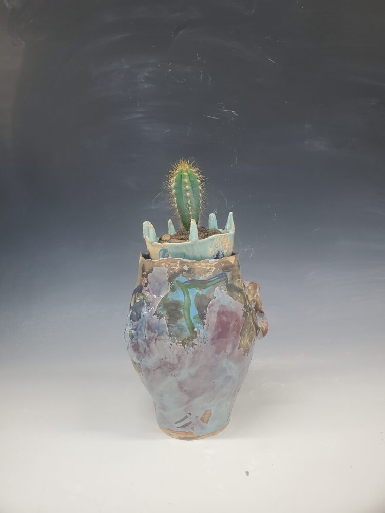 An image of a cactus in a vase.