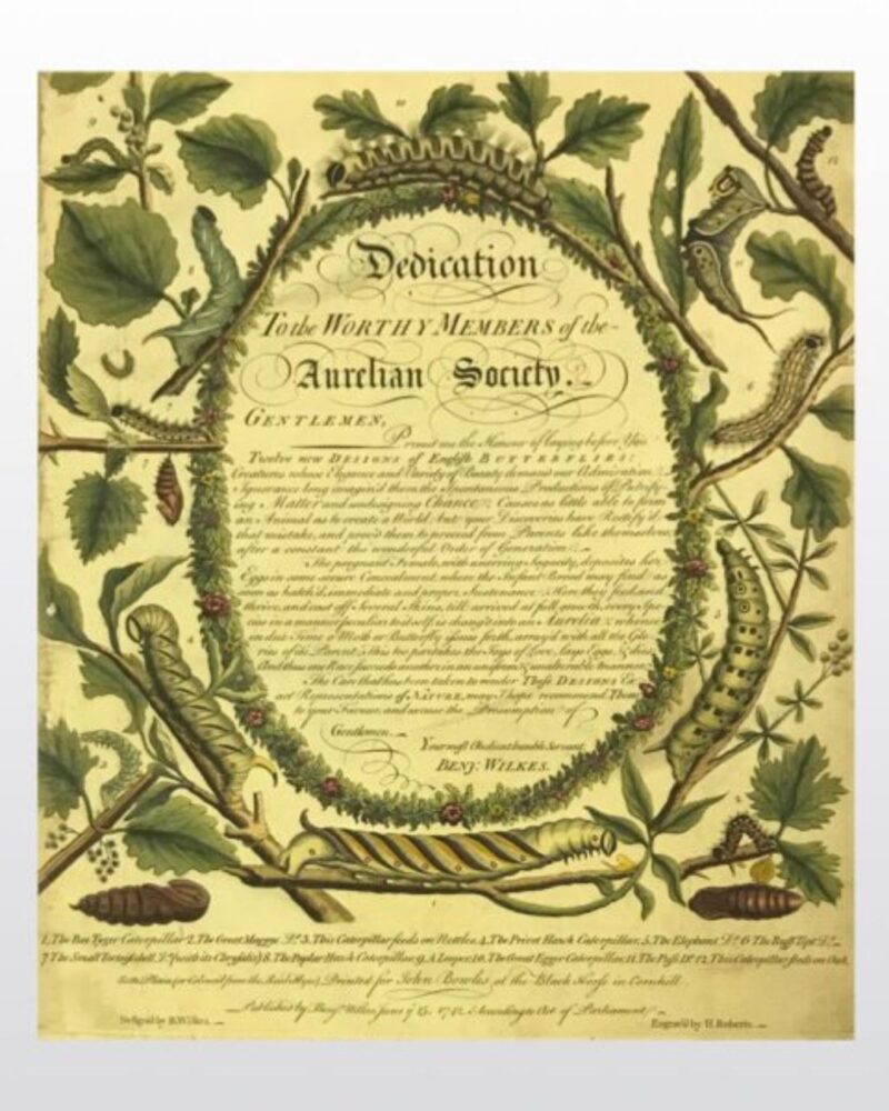 Front cover of an old book with script writing on a yellow and green cover.